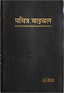 THE HOLY BIBLE HINDI OLD VERSION PTI WITH PRINT THUMB INDEX - Zion ...